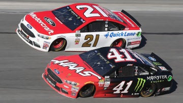 CC-busch-daytona-2017.jpg