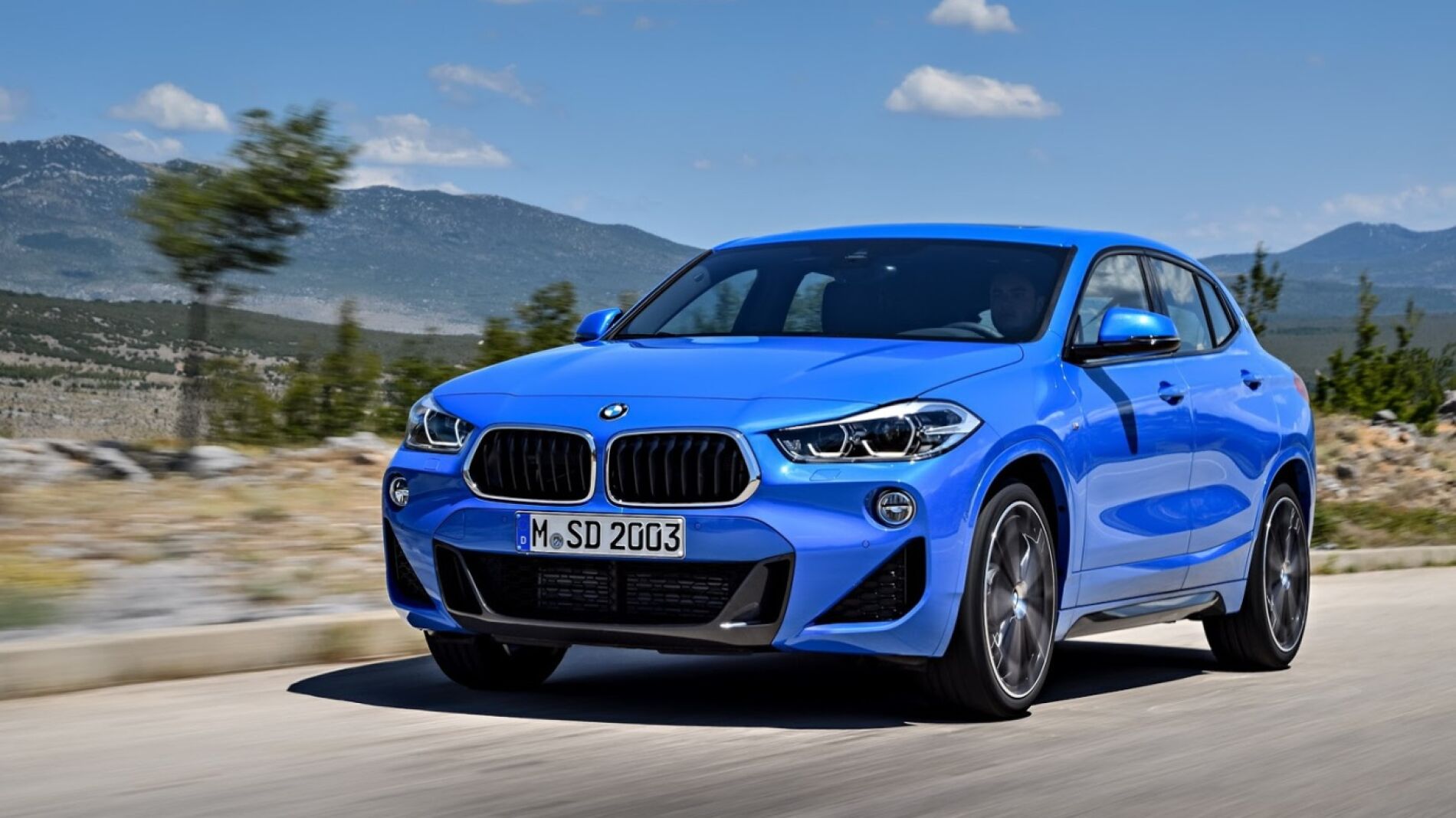 bmw-x29.jpg