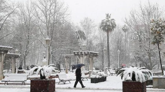 Vista de un parque en la capital vizcaína, una ciudad paralizada tras amanecer cubierta de nieve Vista de un parque en la capital vizcaína, una ciudad paralizada tras amanecer cubierta de nieve