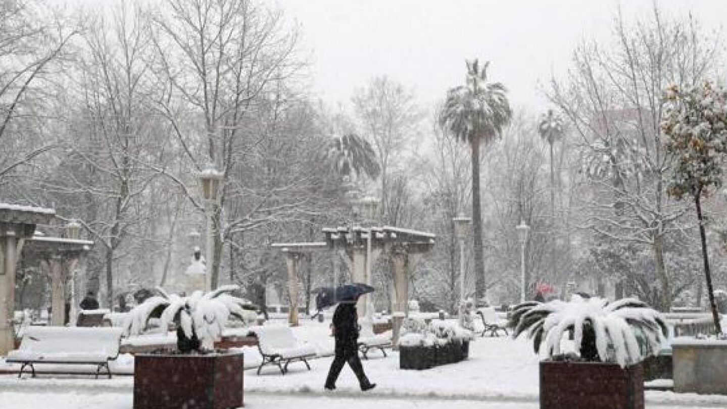 Vista de un parque en la capital vizca&iacute;na, una ciudad paralizada tras amanecer cubierta de nieve