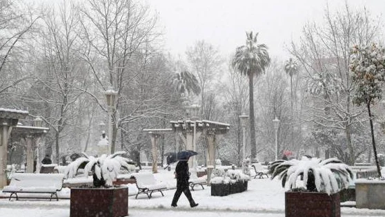 Vista de un parque en la capital vizcaína, una ciudad paralizada tras amanecer cubierta de nieve