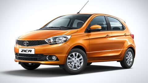tata-zica-virus-zika-01