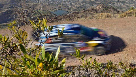 Latvala sábado México 2016