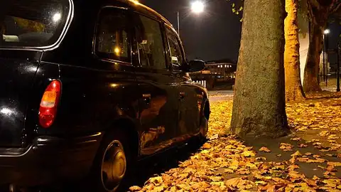 538756111.jpg 538756111