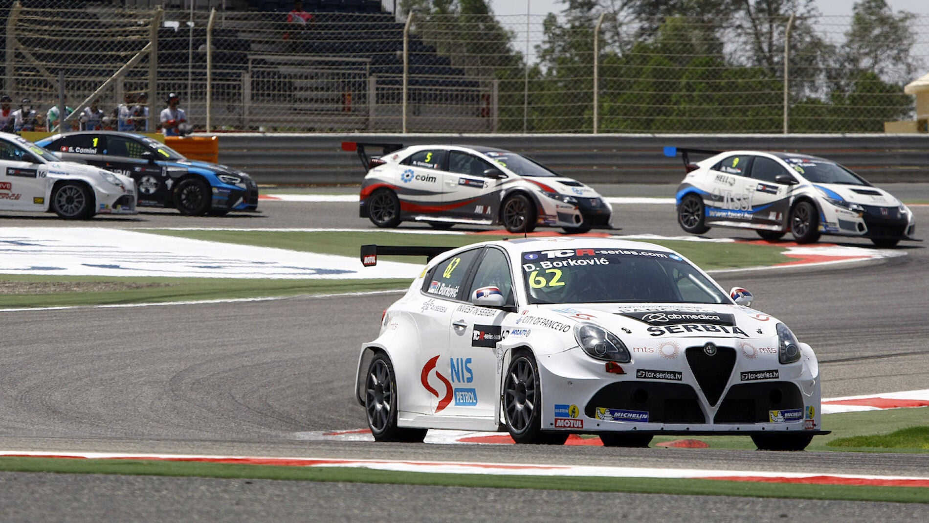 CC-Alfa-TCR.jpg