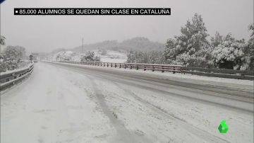 Cataluña colapsada por el temporal de nieve: camiones atrapados, carreteras cortadas y sin transporte escolar