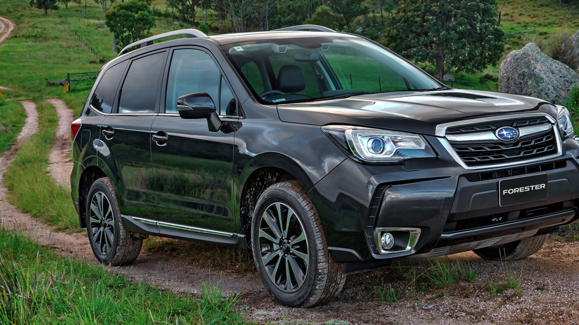 0forester.jpg