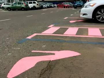 cocherosa.jpg cocherosa.jpg