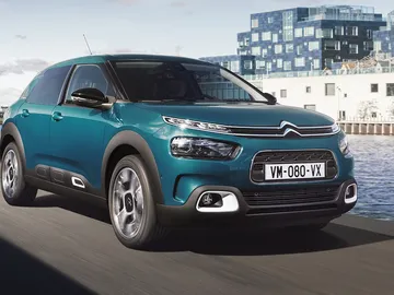 0c4cactus.jpg 0c4cactus.jpg