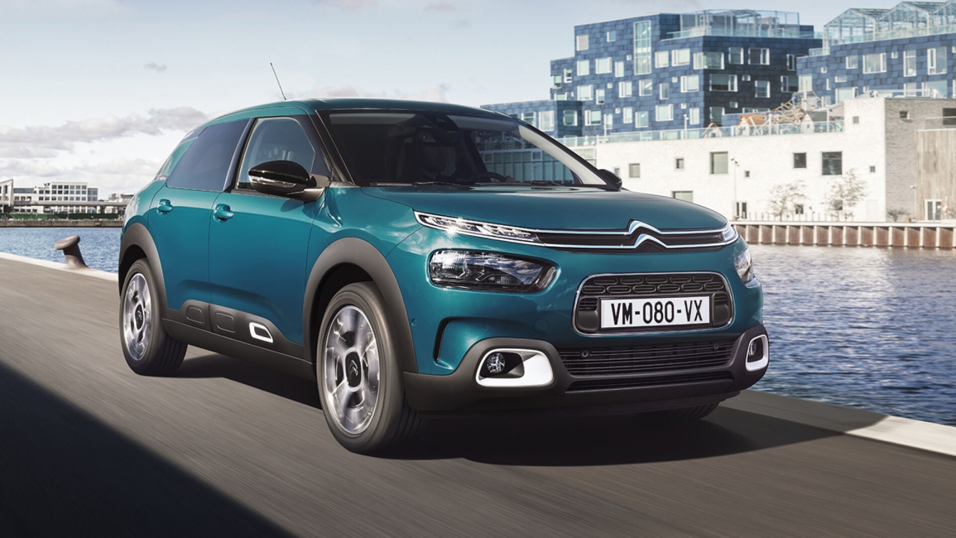 0c4cactus.jpg