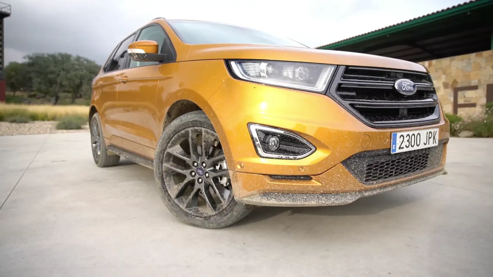 FORD-EDGE.png