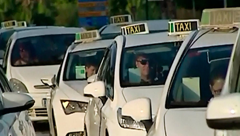 taxis.jpg