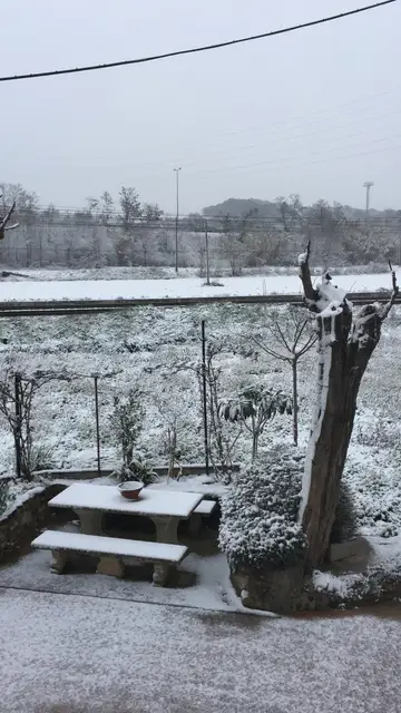 Imagen de la nevada caída en Granollers Imagen de la nevada caída en Granollers