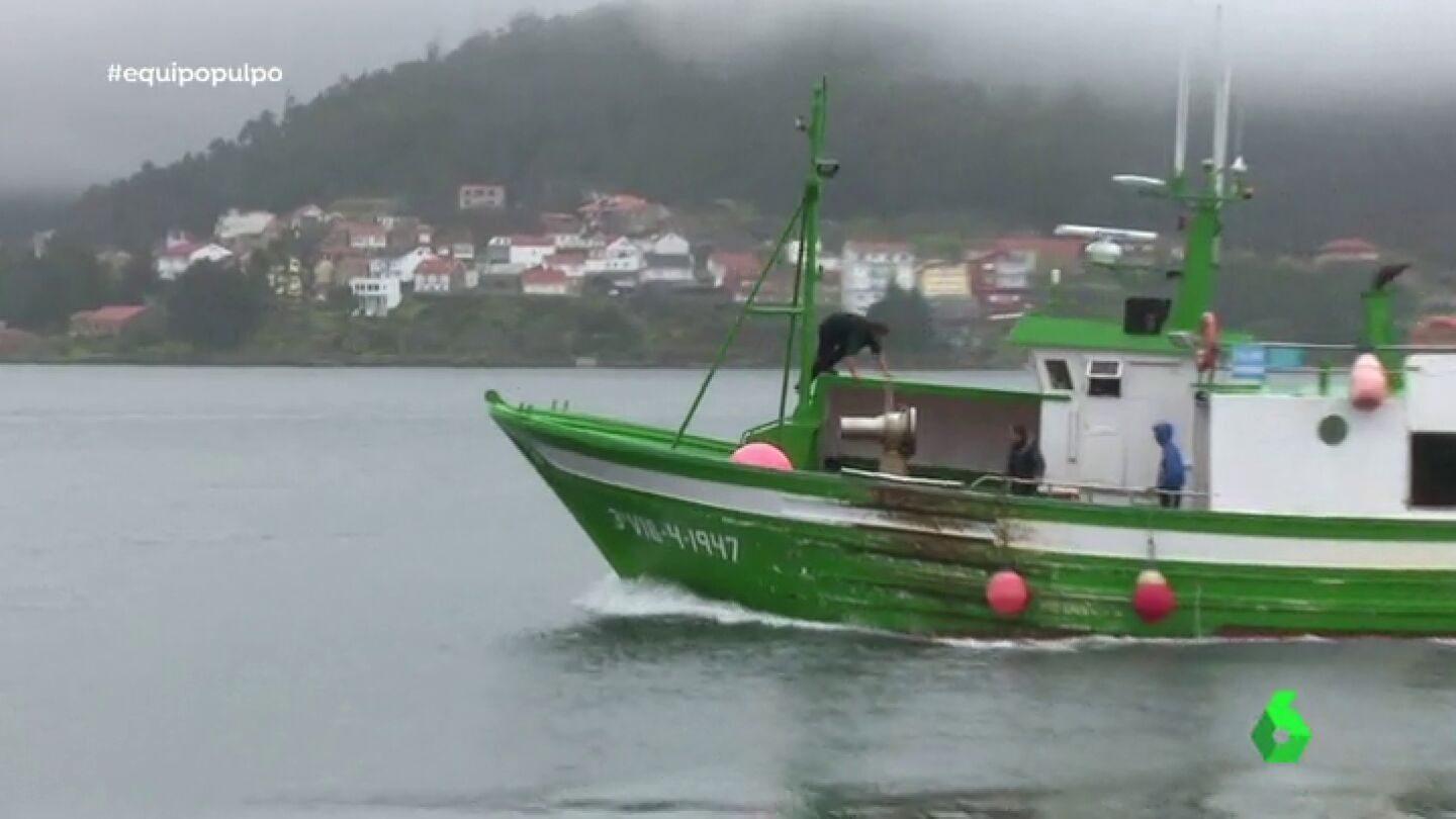 Tras los pasos de pescadores furtivos de pulpo: as&iacute; funciona este lucrativo negocio negro en Galicia