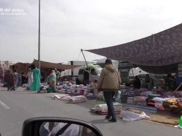 ¿De dónde viene el pulpo que compramos? Así se trabaja en Sahara Occidental, el segundo caladero de pulpo más grande del mundo ¿De dónde viene el pulpo que compramos? Así se trabaja en Sahara Occidental, el segundo caladero de pulpo más grande del mundo