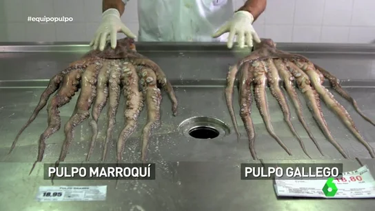 Ni gallego ni africano: así será el futuro (no muy lejano) del consumo del pulpo Ni gallego ni africano: así será el futuro (no muy lejano) del consumo del pulpo