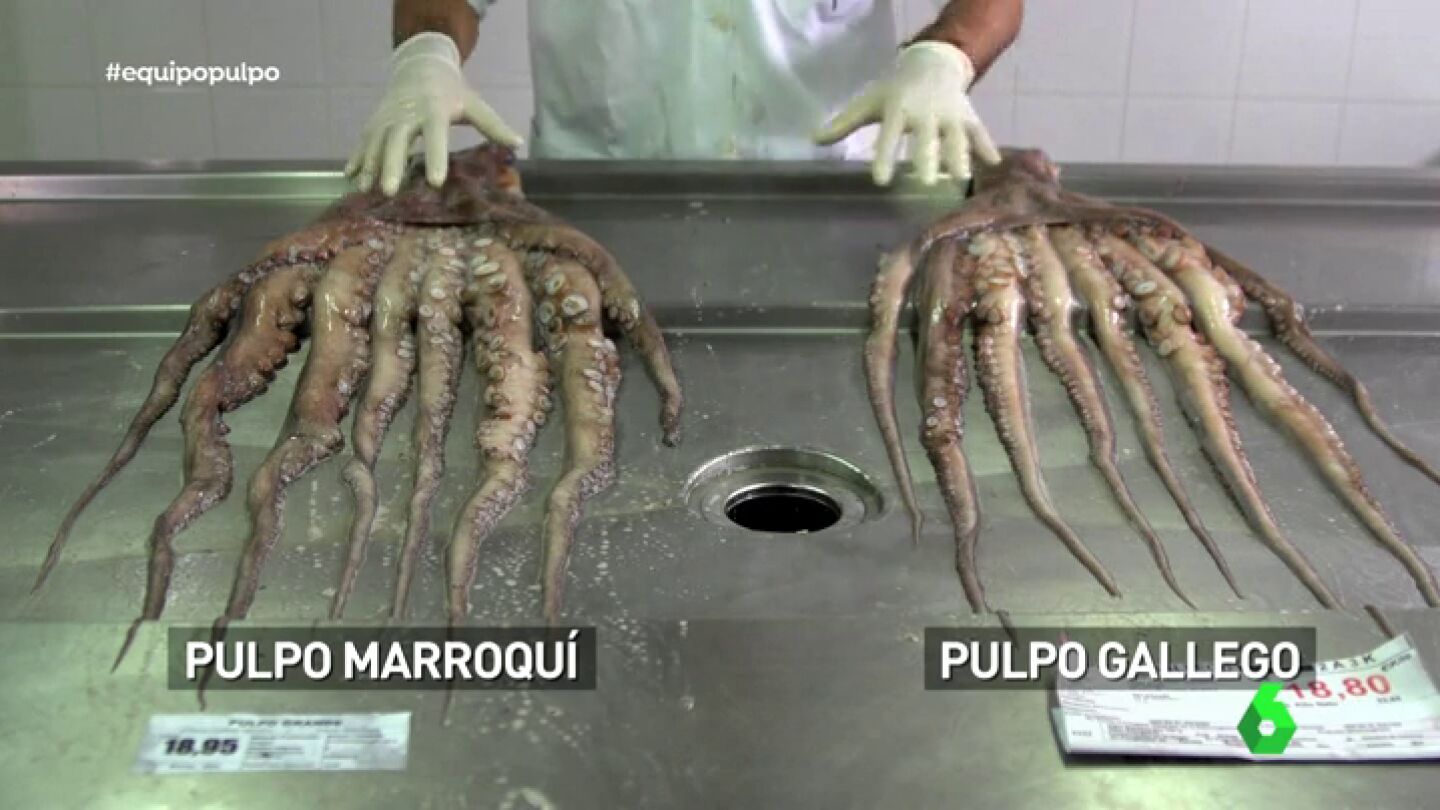 Ni gallego ni africano: as&iacute; ser&aacute; el futuro (no muy lejano) del consumo del pulpo