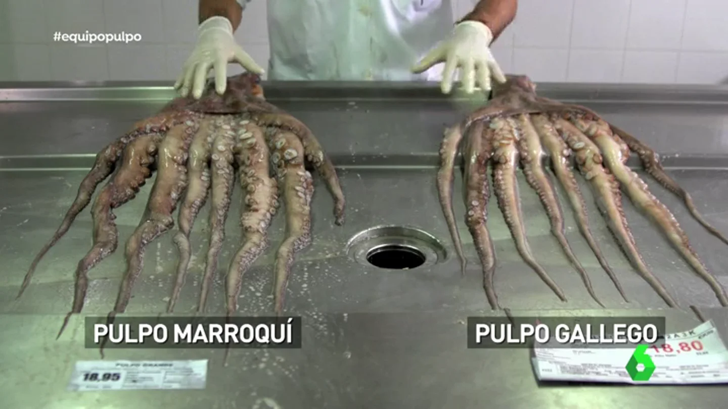 Ni gallego ni africano: así será el futuro (no muy lejano) del consumo del pulpo Ni gallego ni africano: así será el futuro (no muy lejano) del consumo del pulpo