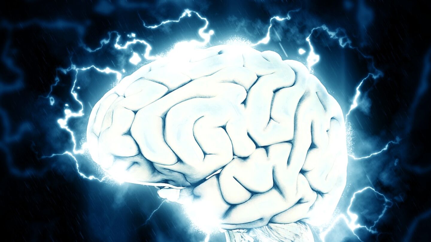 Foto de archivo del cerebro humano