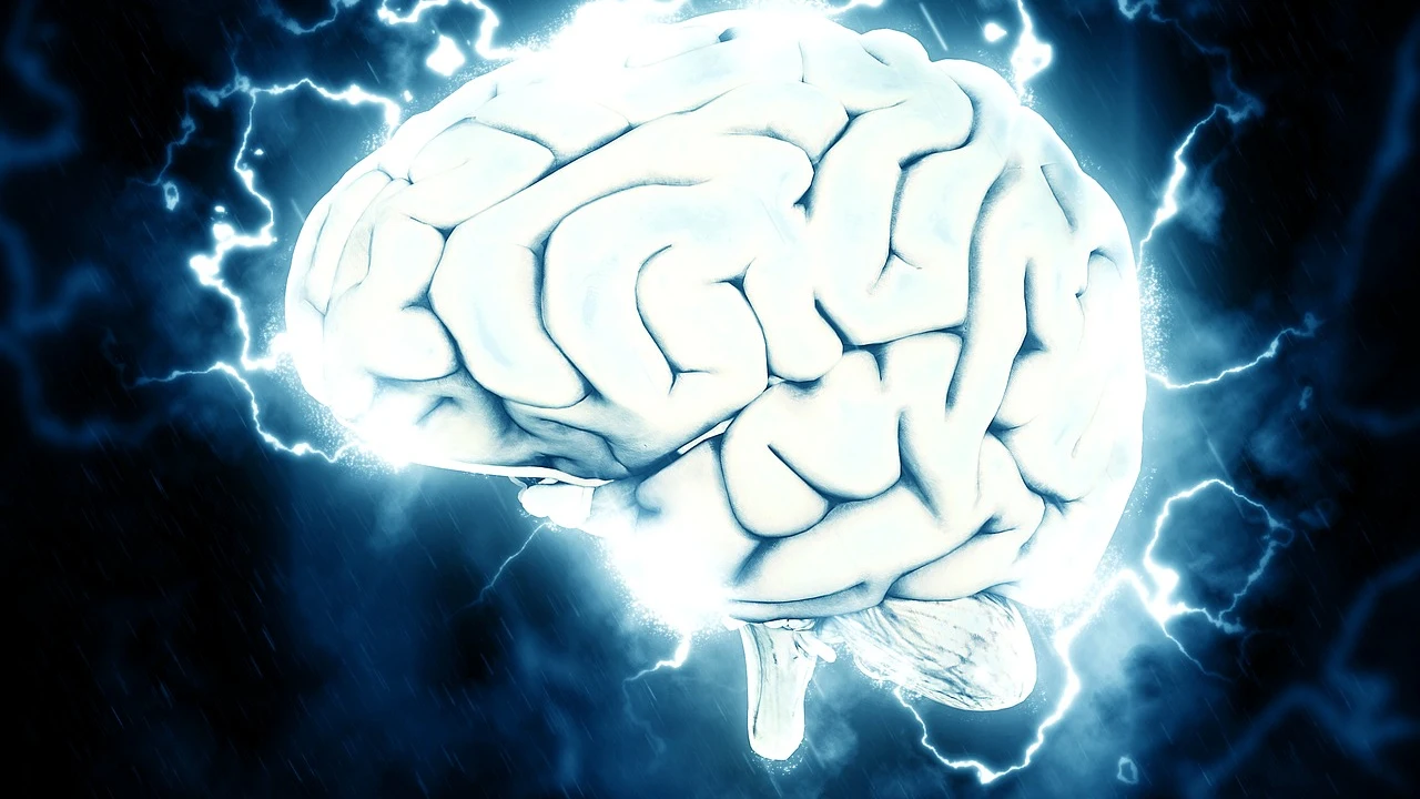 Foto de archivo del cerebro humano