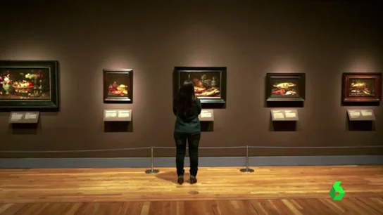 museos museos