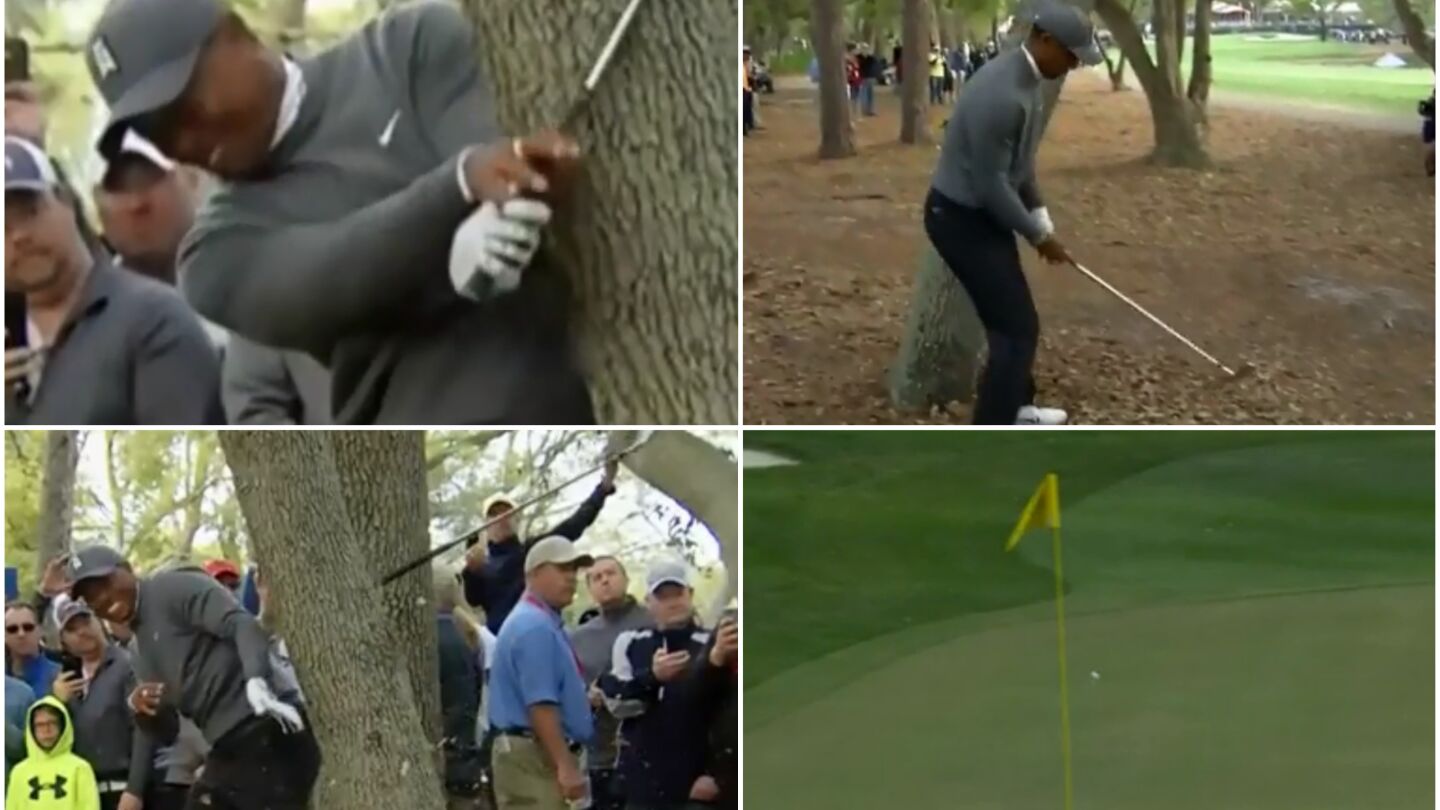 Gran golpe de Tiger Woods