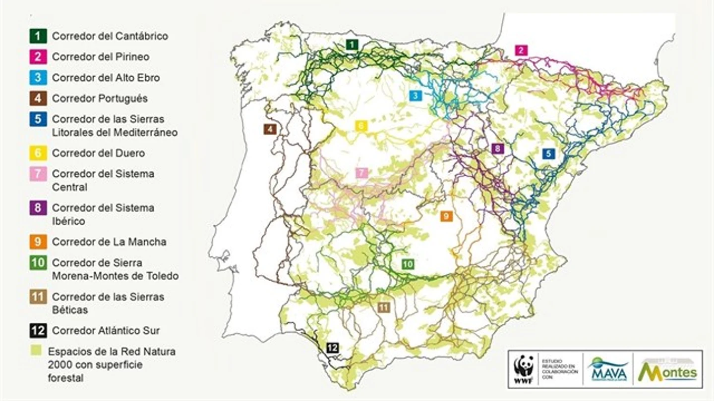 Mapa de los corredores ecológico elaborado por WWF Mapa de los corredores ecológico elaborado por WWF