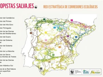 Mapa de los corredores ecológico elaborado por WWF Mapa de los corredores ecológico elaborado por WWF