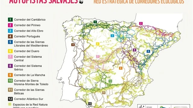 Mapa de los corredores ecológico elaborado por WWF Mapa de los corredores ecológico elaborado por WWF