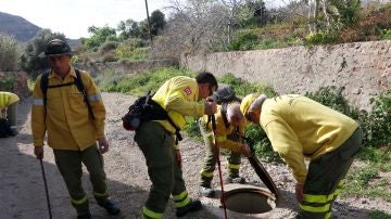 Agentes del INFOCA peinan la zona contigua al lugar de la localidad de Níjar donde desapareció Gabriel Cruz