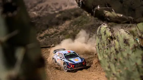 Rally de México Rally de México