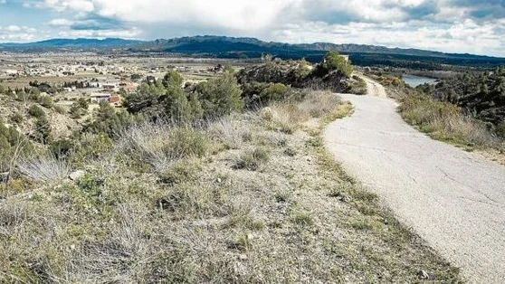 El camino donde el ciclista fue agredido por cinco perros