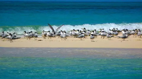 Playa Lamu. Kenia 7 ideas de viaje inspiradas en Pantera Negra