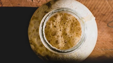 Masa madre Masa madre