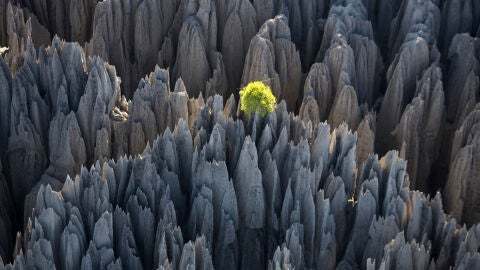 7 ideas de viaje inspiradas en Pantera Negra