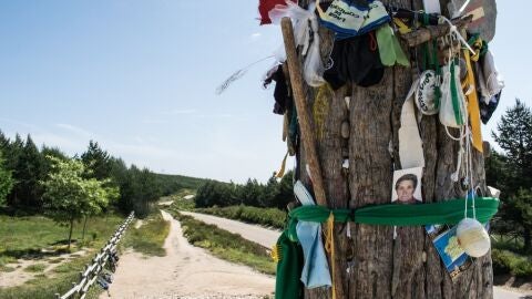 Camino de Santiago