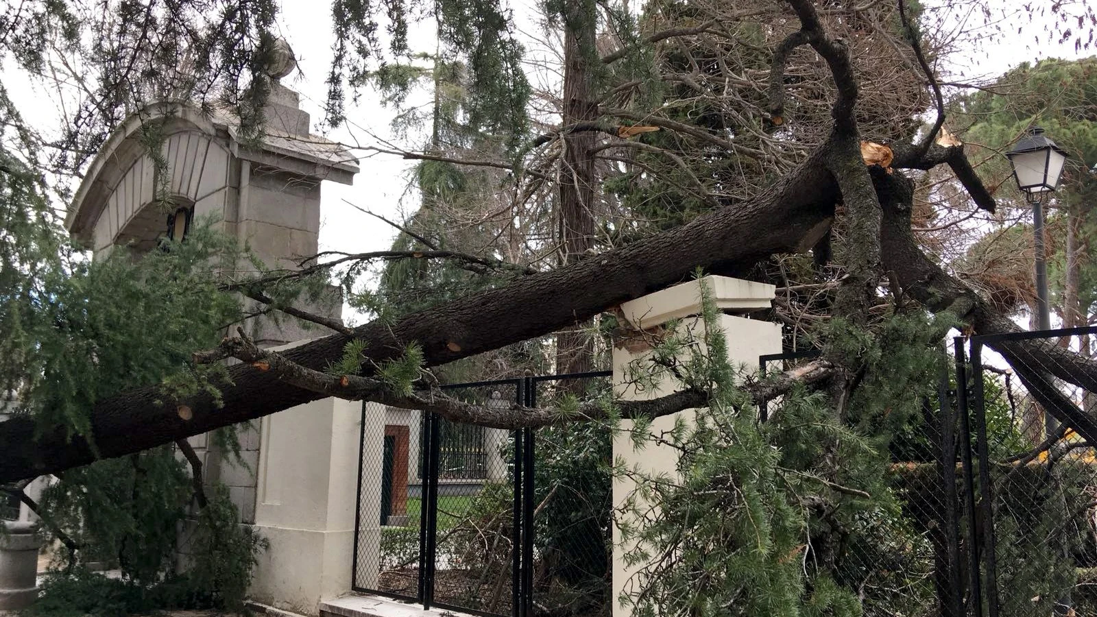 Vista del lugar en el que un niño de 4 años ha muerto tras caerle un árbol encima