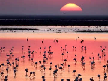 Doñana Doñana
