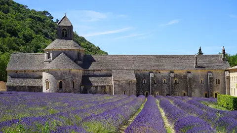 Campos de Lavanda. Provenza 10 destinos, 10 flores y cientos de colores