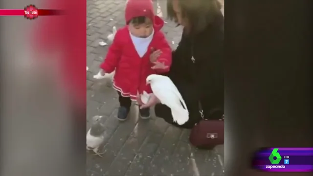 Una niña y una paloma