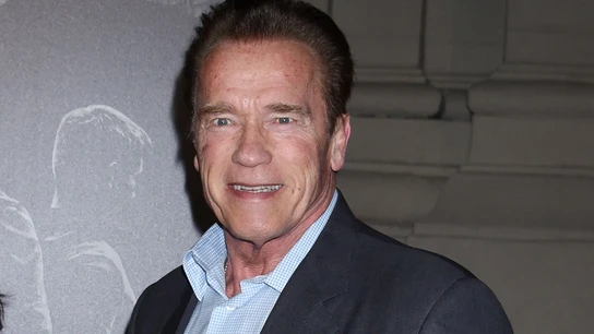 Arnold Schwarzenegger Arnold Schwarzenegger