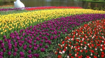 Destinos florales