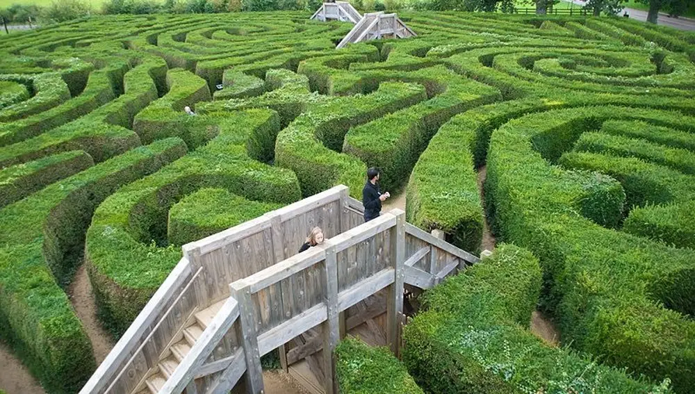 Longleat Hedge Maze