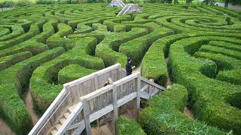 Longleat Hedge Maze Longleat Hedge Maze