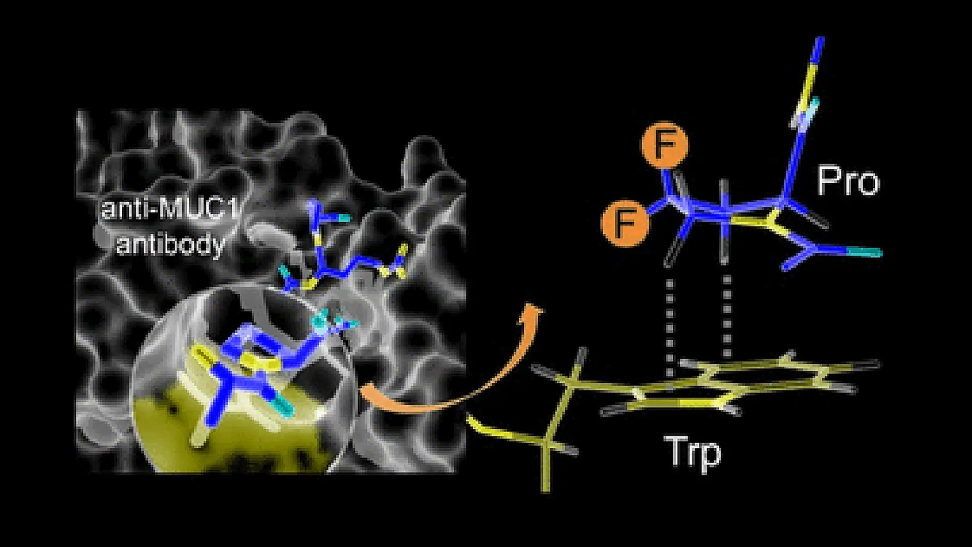 Investigadores del Grupo de Química Biológica y del Grupo de Bioconjugación de Proteínas de la Universidad de La Rioja