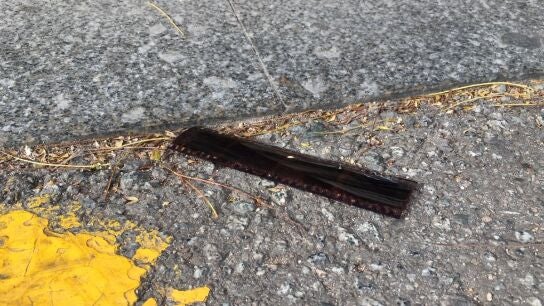 Negativo encontrado por Oriol Querol