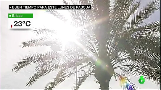 tiempo y fiesta tiempo y fiesta