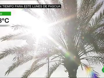 tiempo y fiesta tiempo y fiesta