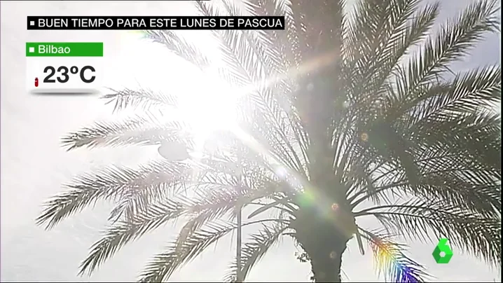 tiempo y fiesta tiempo y fiesta
