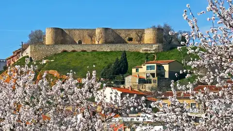 Alcázar. Toro Monumentalia: Un paseo por la historia